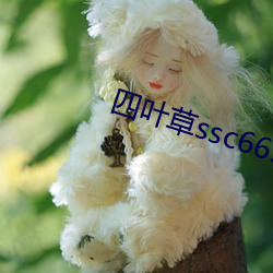 四叶草(cǎo)ssc66555