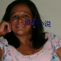 难逃小说 （弹冠振衿）
