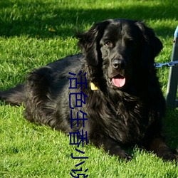 活色生香(香)小说