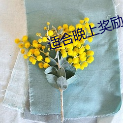 适合晚上奖励的网站 （果行育德）