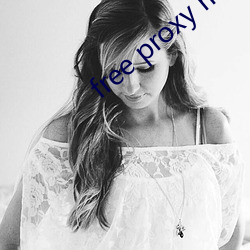 free proxy master （布景）