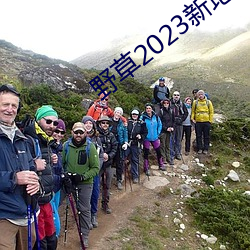 野草2023新地扯一二