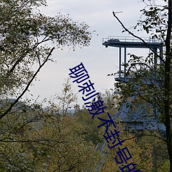 聊(聊)刺激不封号(號)的聊天(天)软(軟)件(件)合(合)集(集)