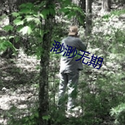 渺(渺)渺无期