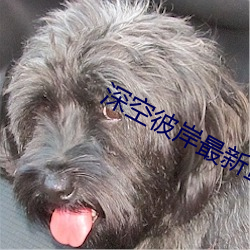 深(深)空(空)彼岸最新章节(節)