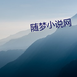 随(隨)梦小(小)说网