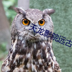 尊龙凯时·(中国)官方网站