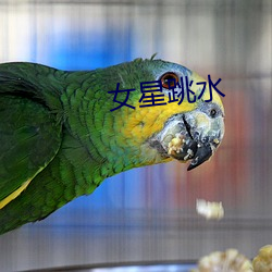 女星跳水