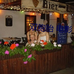 双胞胎 电影(影)