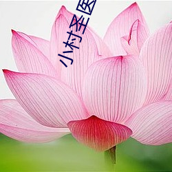 918博天堂·(中国)手机版客户端