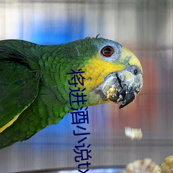 将进酒小说txt （星离雨散）