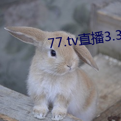 77.tvֱ3.3.10.5 ۦ޼