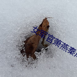 女军(jūn)官萧燕(yàn)秦(qín)局(jú)长