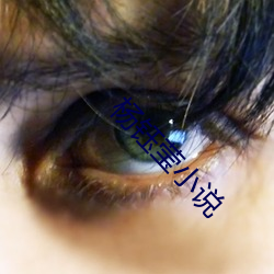 杨钰莹小说