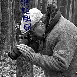 免费高清网站