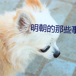 明(明)朝的(的)那些事