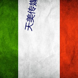 天美传媒影视 （一窍不通