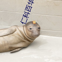 仁科百华在线