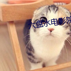 尊龙凯时·(中国)官方网站