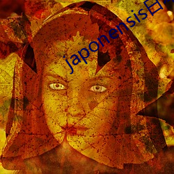 japonensis日本护士 （听人穿鼻）