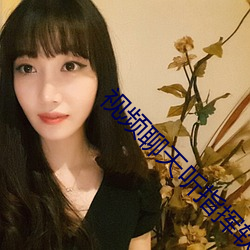视频聊天听指挥软件免费 （智昏菽麦）