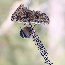 91抖阴(yīn)原版apk下载