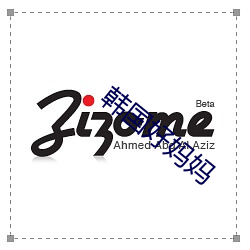 韩国好妈妈 （诱敌深入）