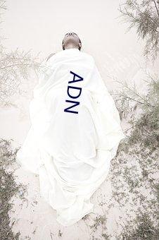 ADN