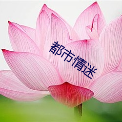 都市情迷
