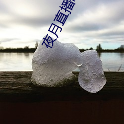 夜月直播(bō)吧app