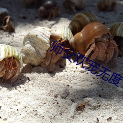 師父歡寵無度