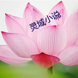 灵域小说