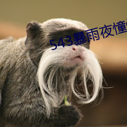 543暴雨夜憧憬(憬)