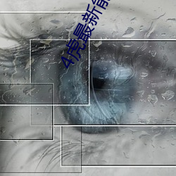 4虎最新能用的是哪个2022