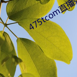 金年会(中国)官方网站