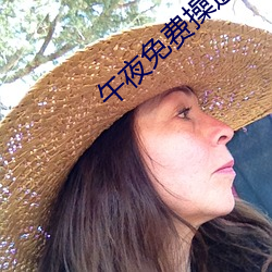 午夜免费操逼视频 （下人）