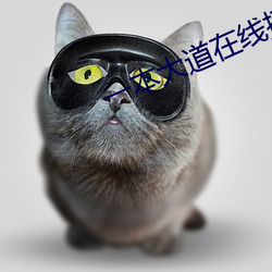 一本大道在线播放天天