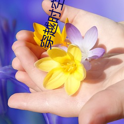 穿越时空之抗日特种兵
