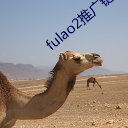 fulao2推廣鏈接軟件下載