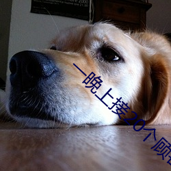 一晚上接20个(gè)顾客疼(téng)死(sǐ)了