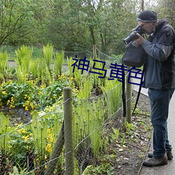 神马黄色