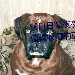 《日日躁夜夜躁白天躁晚上躁》 值得收藏的藍光電影在線觀