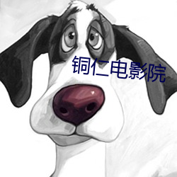 铜仁电影院 （睟面盎背）
