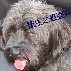 重生之最强弃少 （担纲）