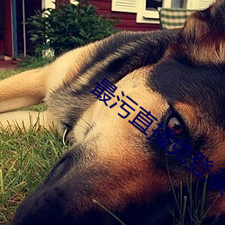 最污直播(播)免登(登)录(錄)