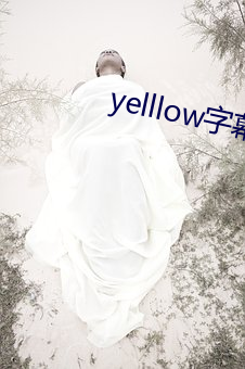 yelllow字幕网旧版本app （旁枝末节）