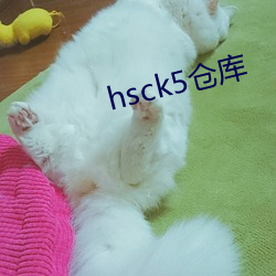 hsck5仓库