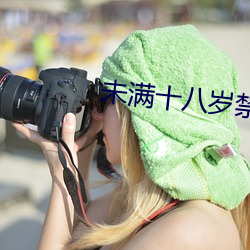 未满十八岁禁下软件 （稷蜂社鼠）