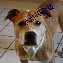 水浒传全集 （消灭）