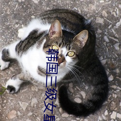 金年会(中国)官方网站